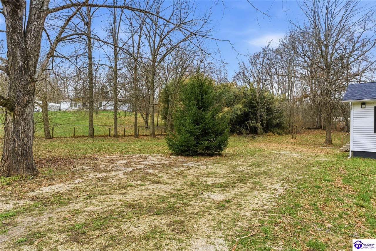 175 Gumwell Road photo 26