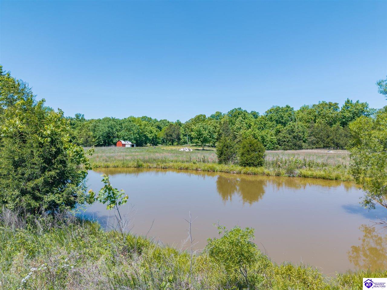 1239 Keith Knob Road photo 5