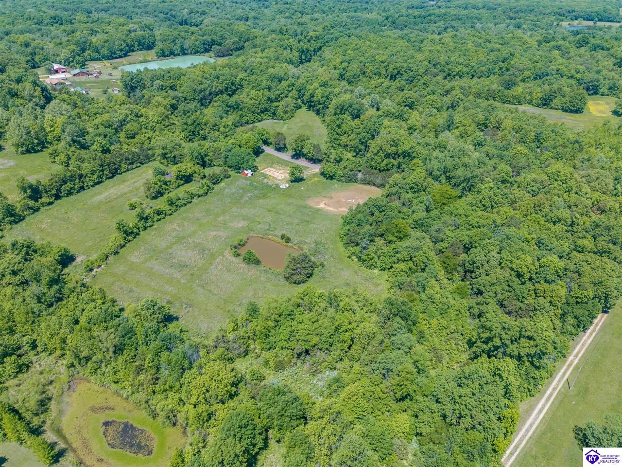 1239 Keith Knob Road photo 9