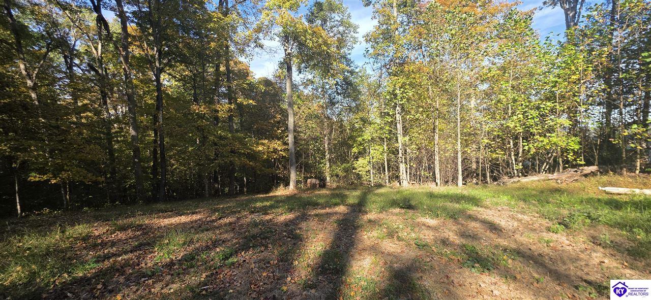 Lot 16 Ferncliff Road photo 3